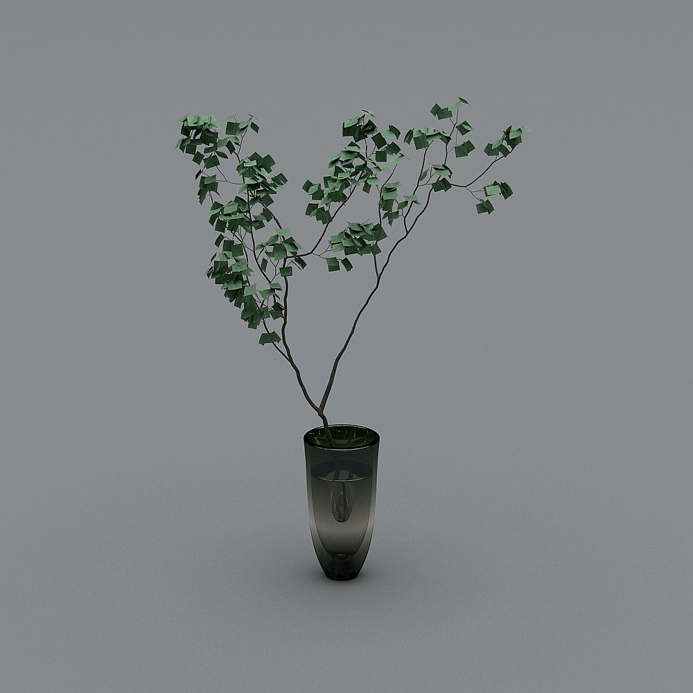 现代盆栽19-1