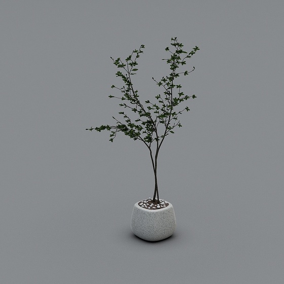 European Potted Bonsai,Potted Bonsai,Gray