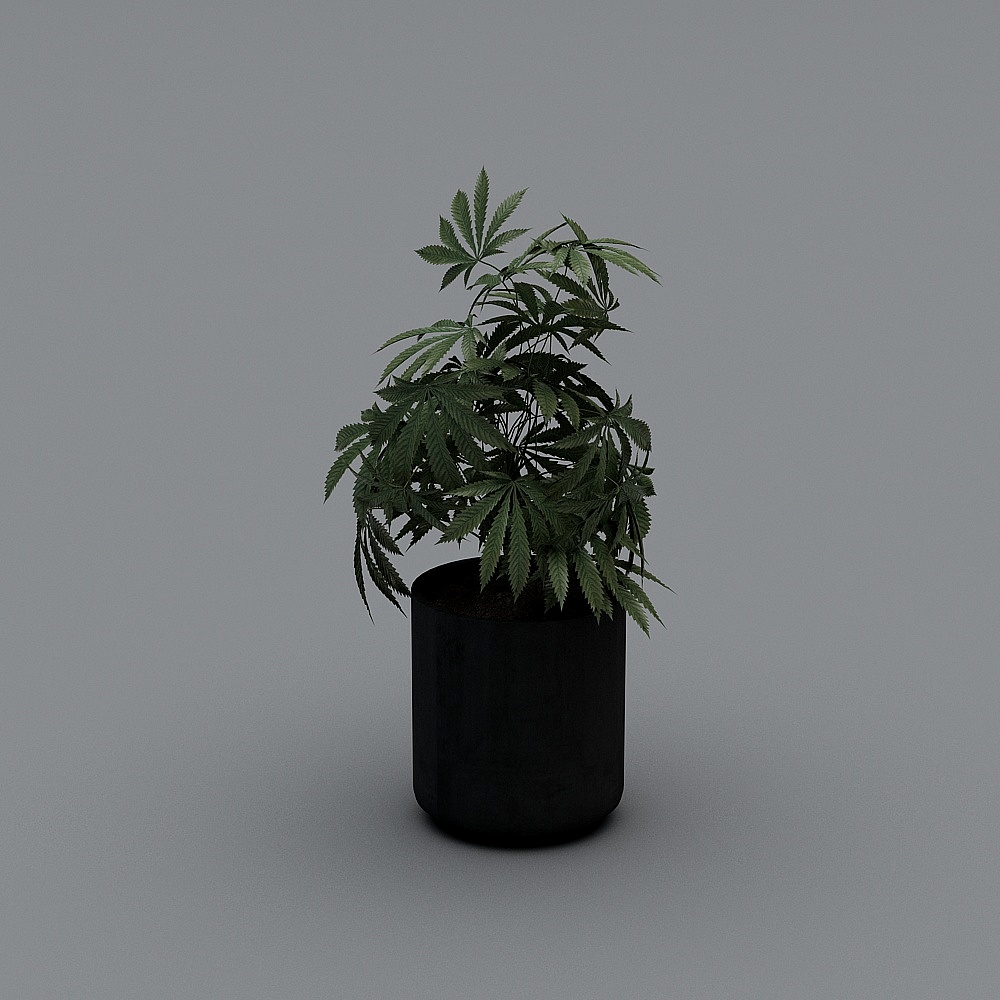 现代盆栽29-23D模型