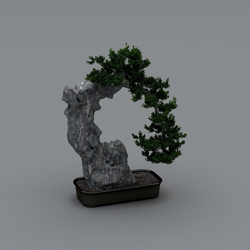 新中式盆景10-1