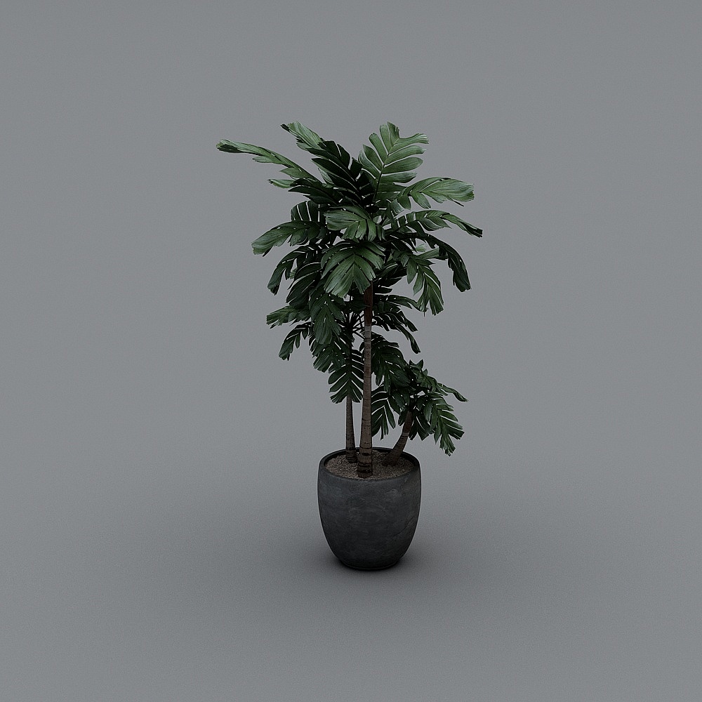 现代盆栽2-13D模型