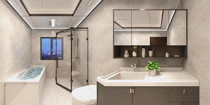 杭州临安法狮龙吊顶-余村东坞三楼东儿卫-装修设计方案