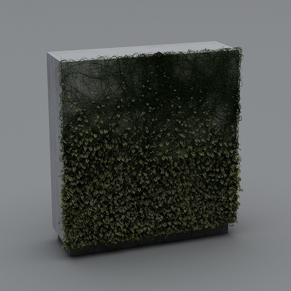 现代植物墙6-33D模型
