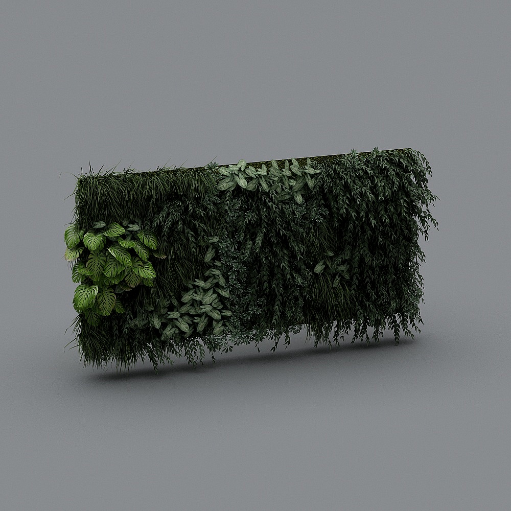 现代植物墙27