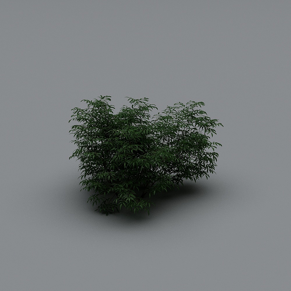 现代灌木8-13D模型