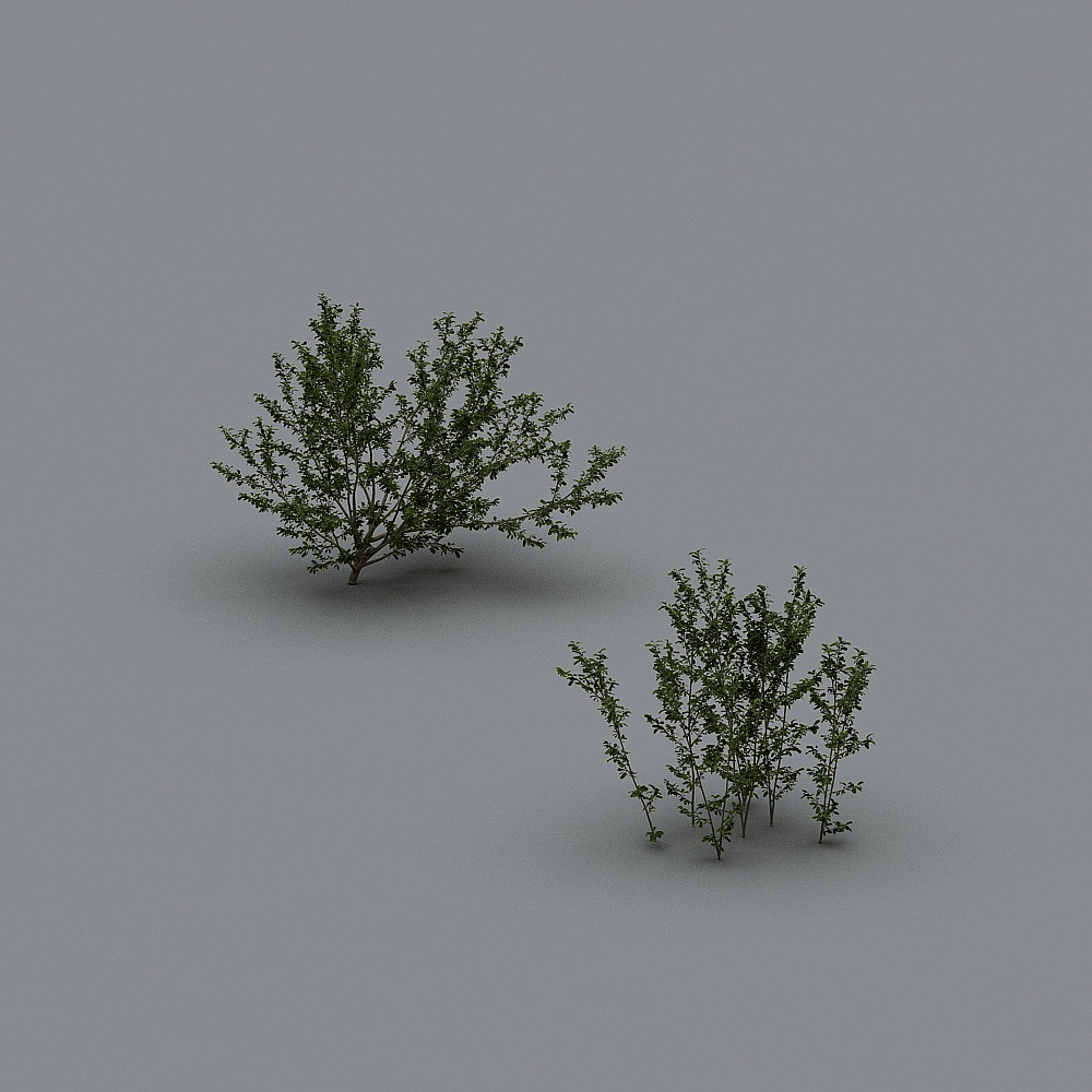 现代灌木9-33D模型