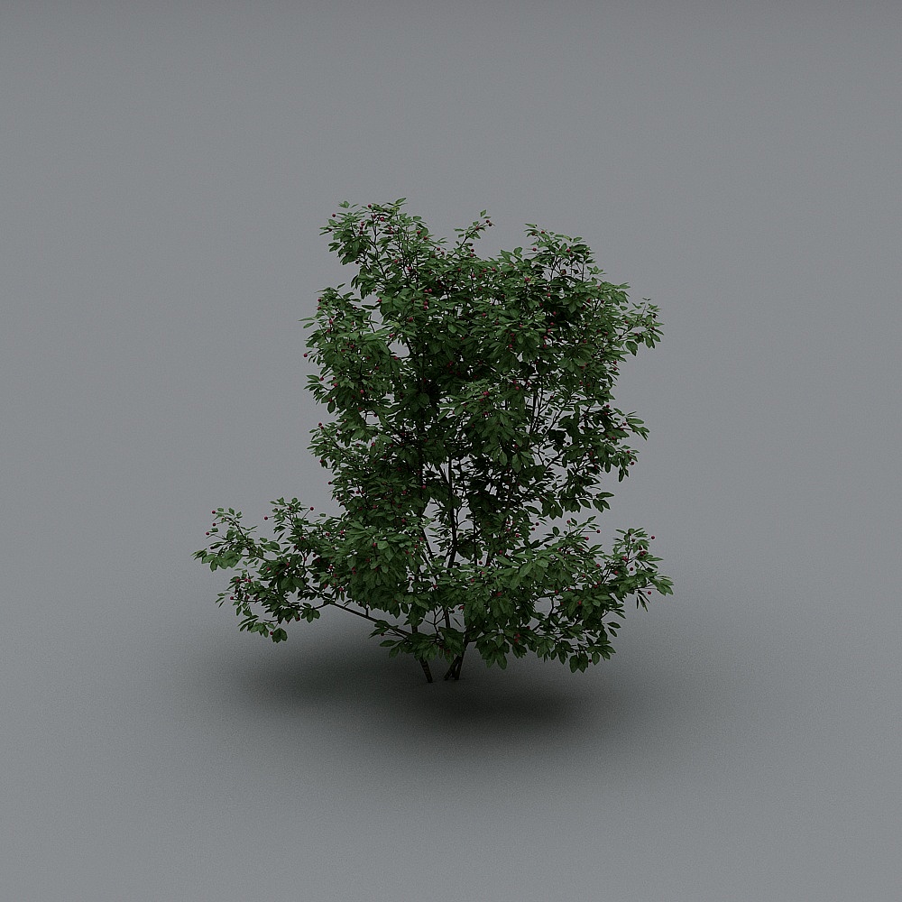 现代灌木3-93D模型