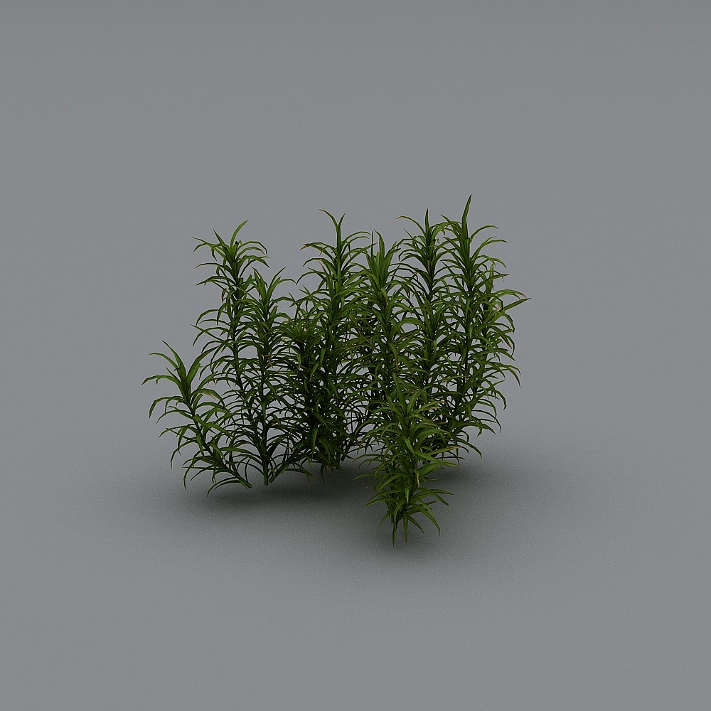 现代灌木22-43D模型