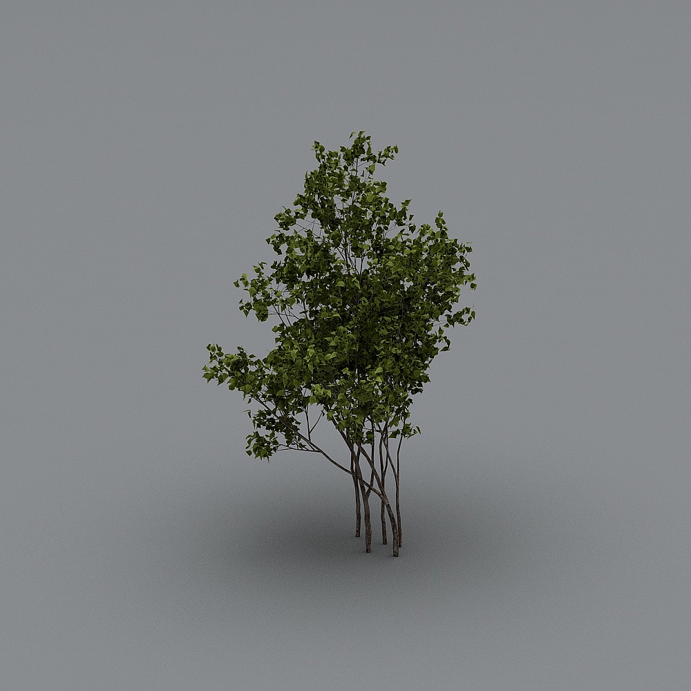 现代灌木13-13D模型