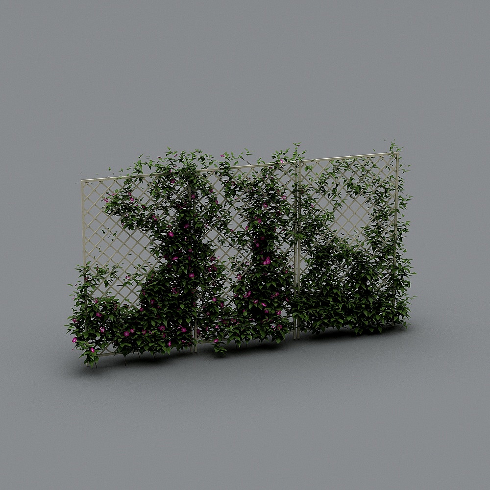 防腐木花架