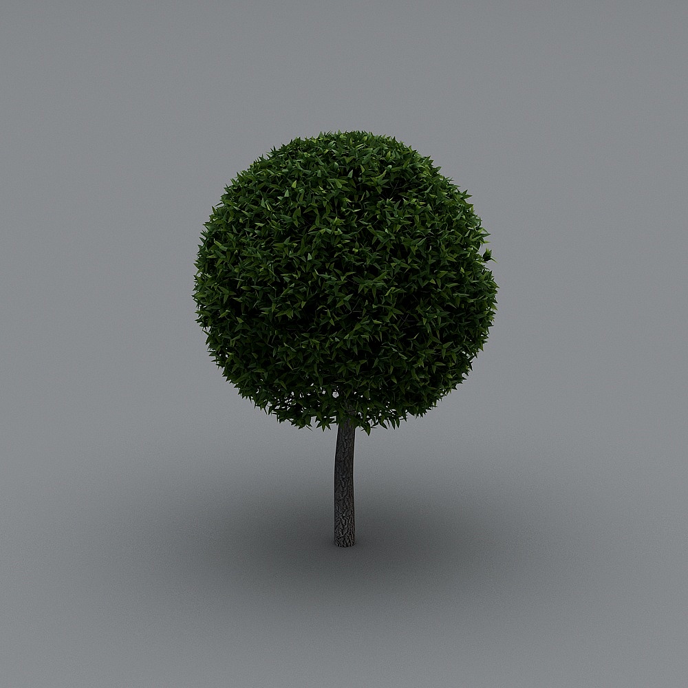 树13d模型