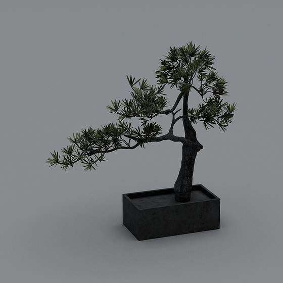 Modern Potted Bonsai,Potted Bonsai,Black