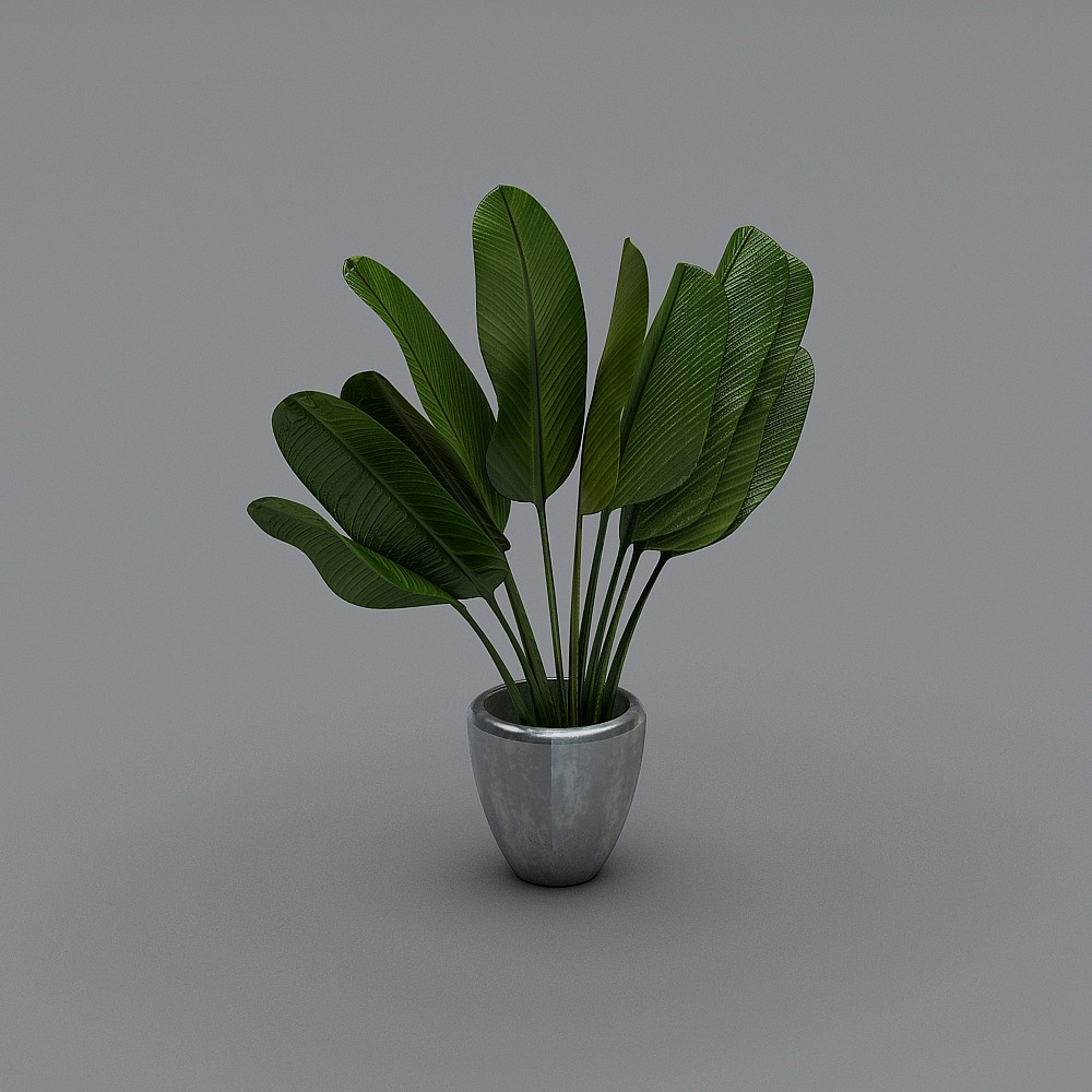 现代园林小品-室外植物