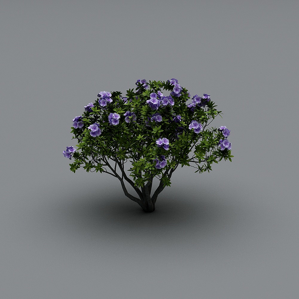 现代树-山茶c3D模型