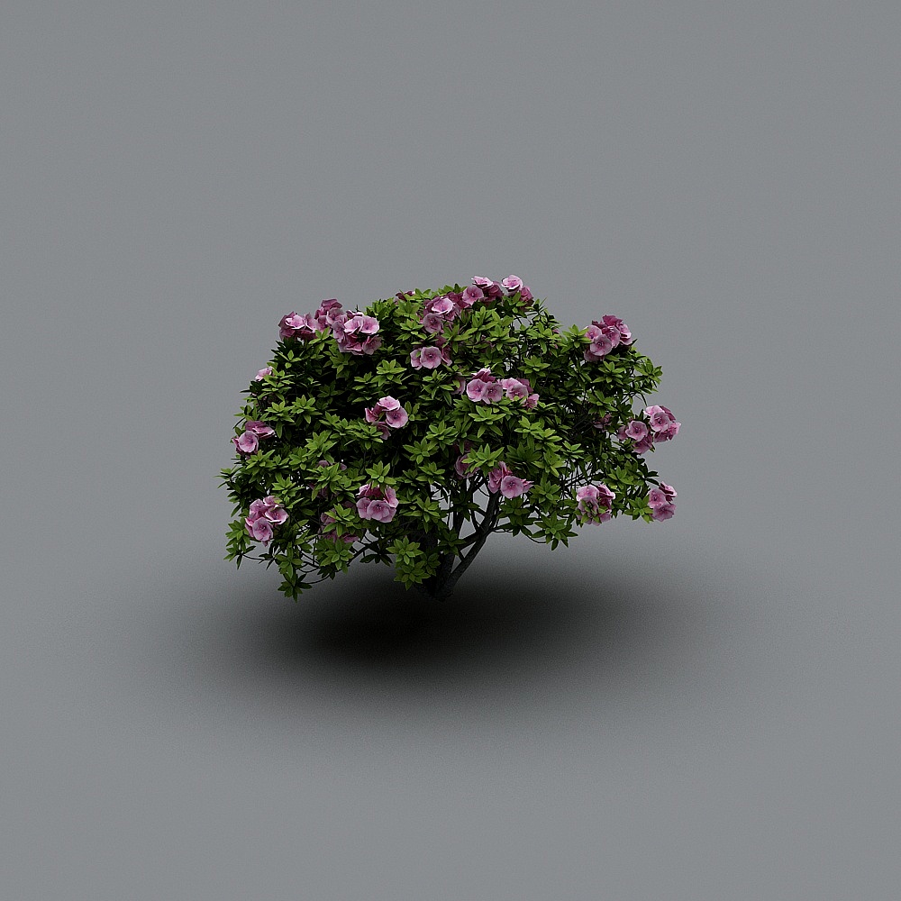 现代树-山茶A3D模型