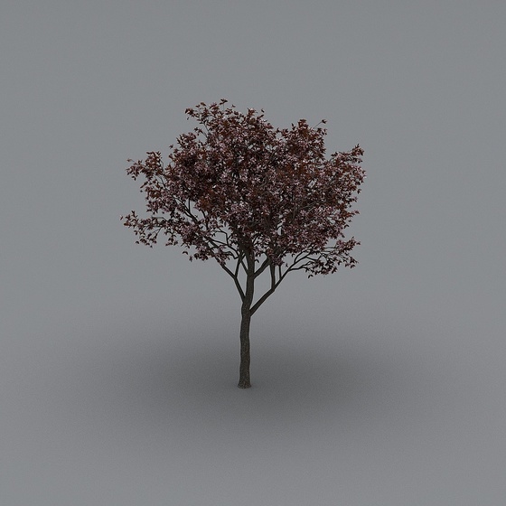 Modern tree - cherry blossom