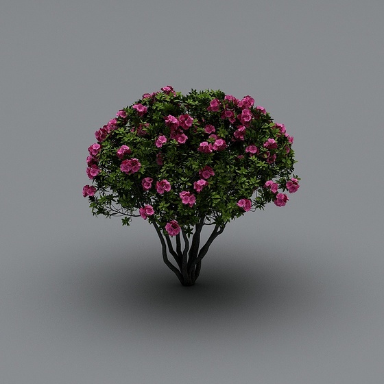 Modern tree-Camellia b