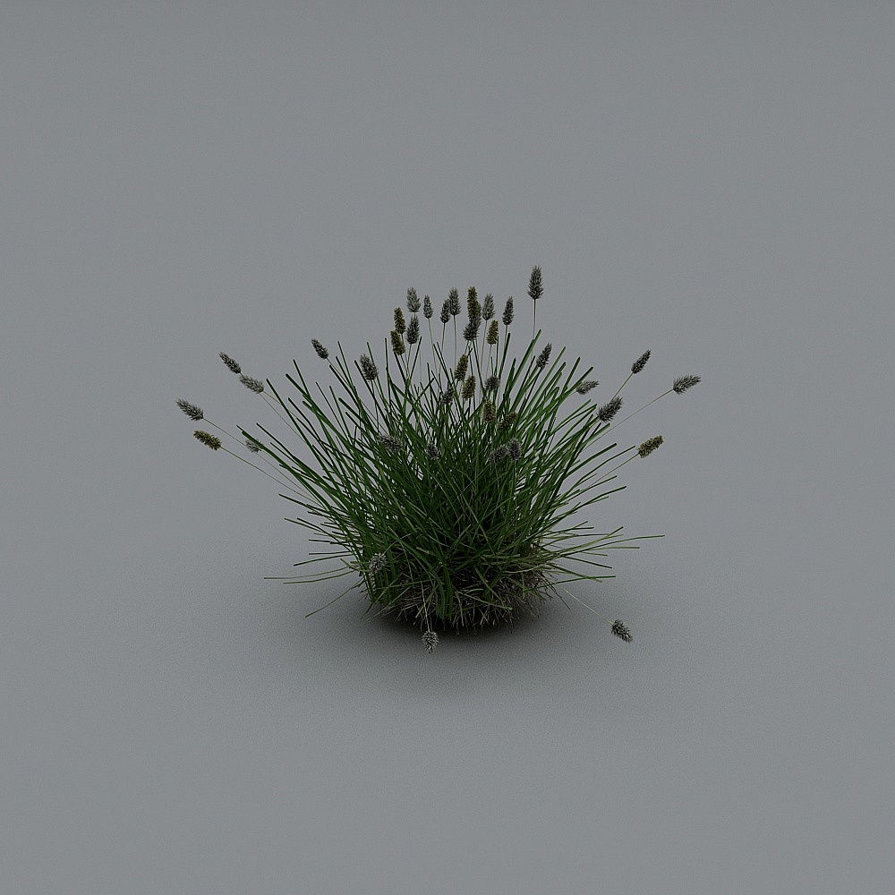 草