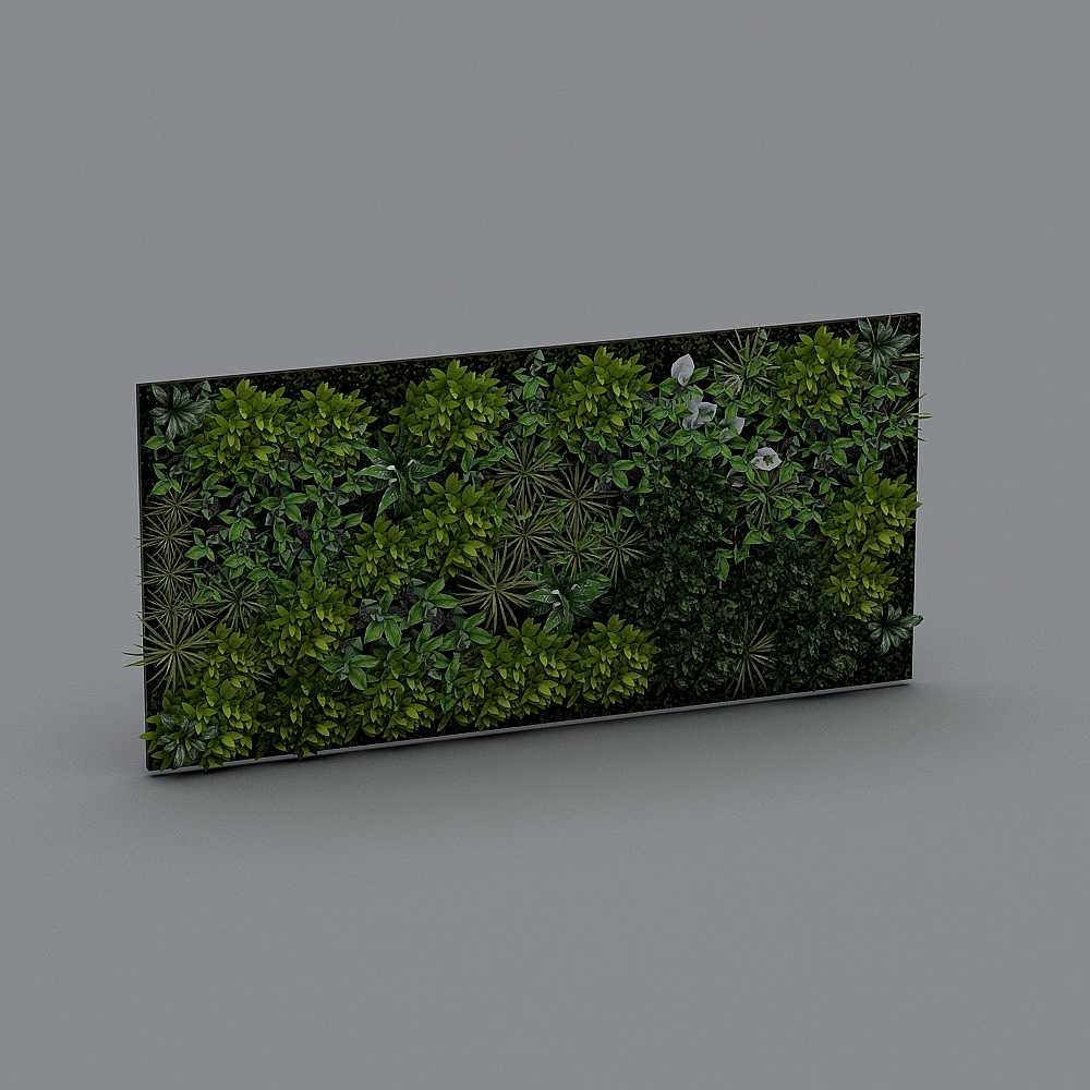绿植墙