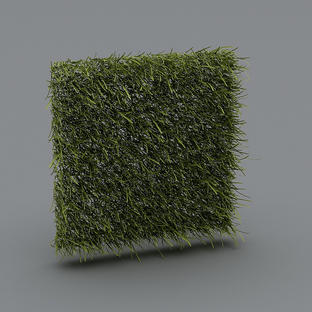 墙草23D模型
