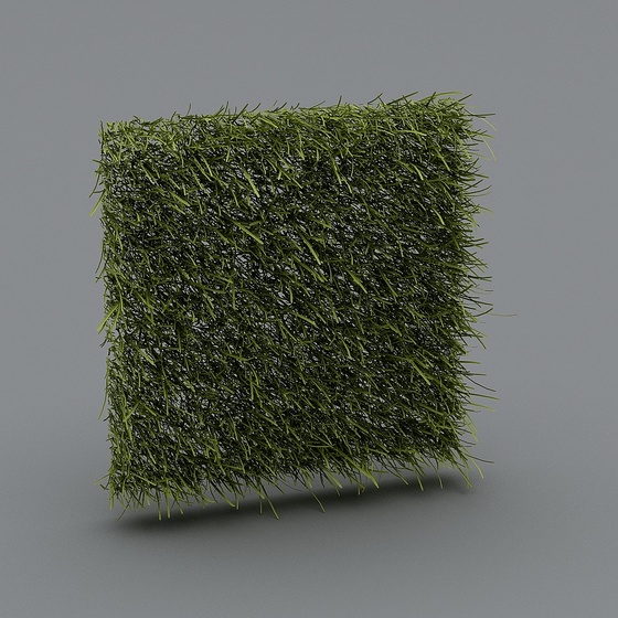 Modern Plant Wall,Plant Wall,Green