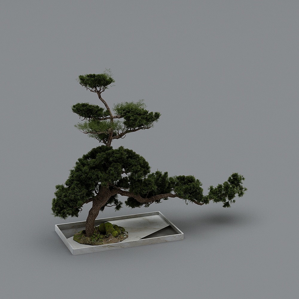 新中式会所休闲茶室-中式景观