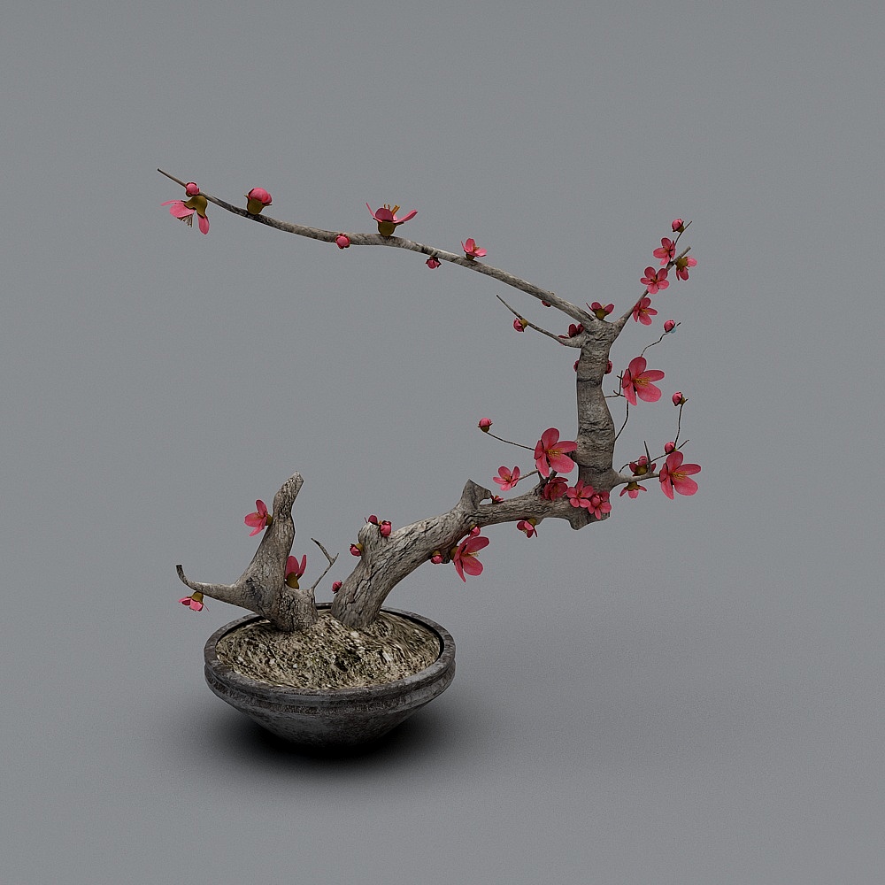 新中式盆栽-梅花