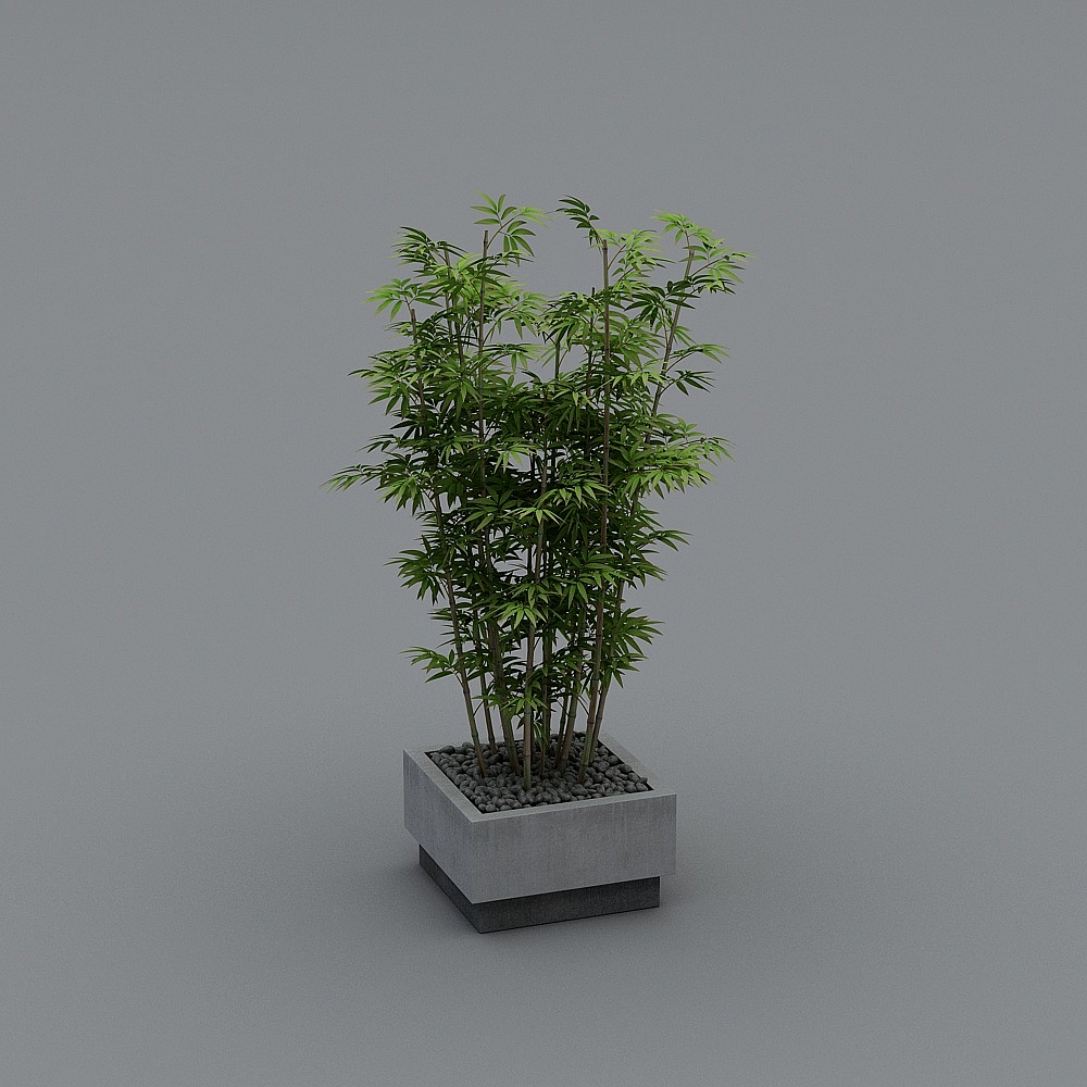 花1