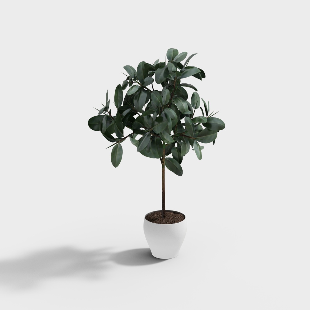 现代植物盆栽1-OB3D模型