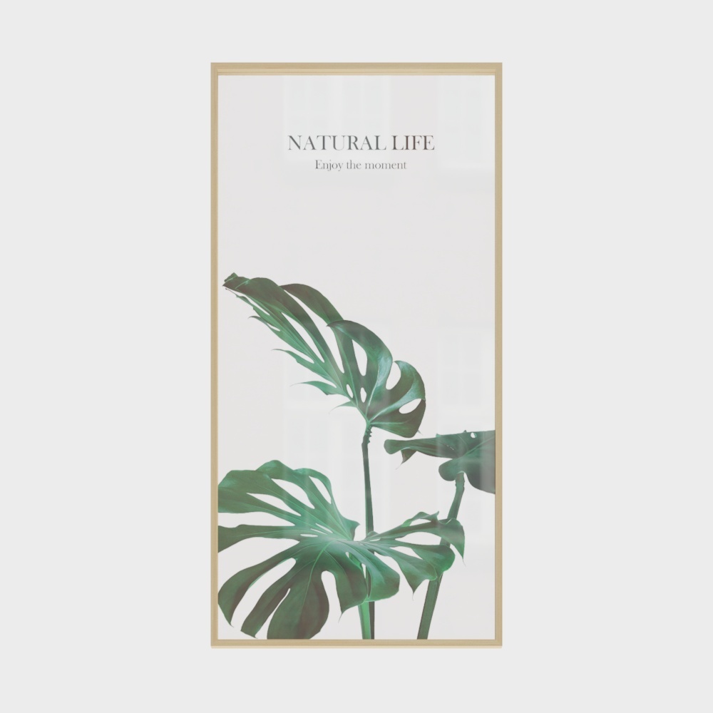 起贝北欧风格入户玄关龟背竹透明画现代简约绿植植物装饰画壁挂画wzrj-ta-1  