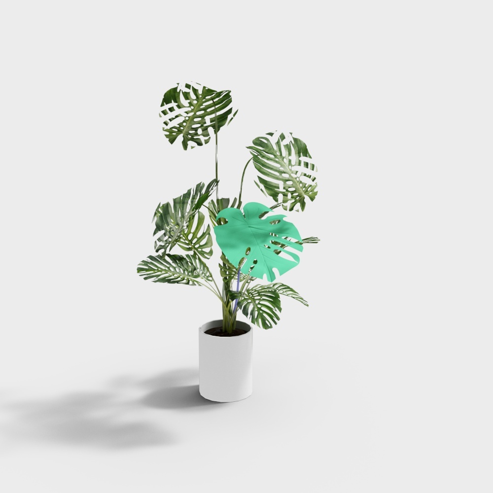 180龟背叶3D模型