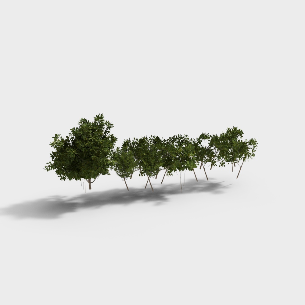 花丛提亮-YJ3D模型