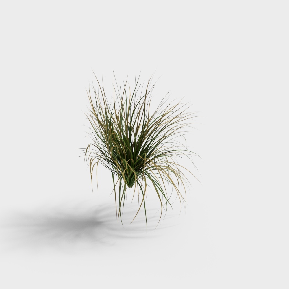 植物-茅草-YJ