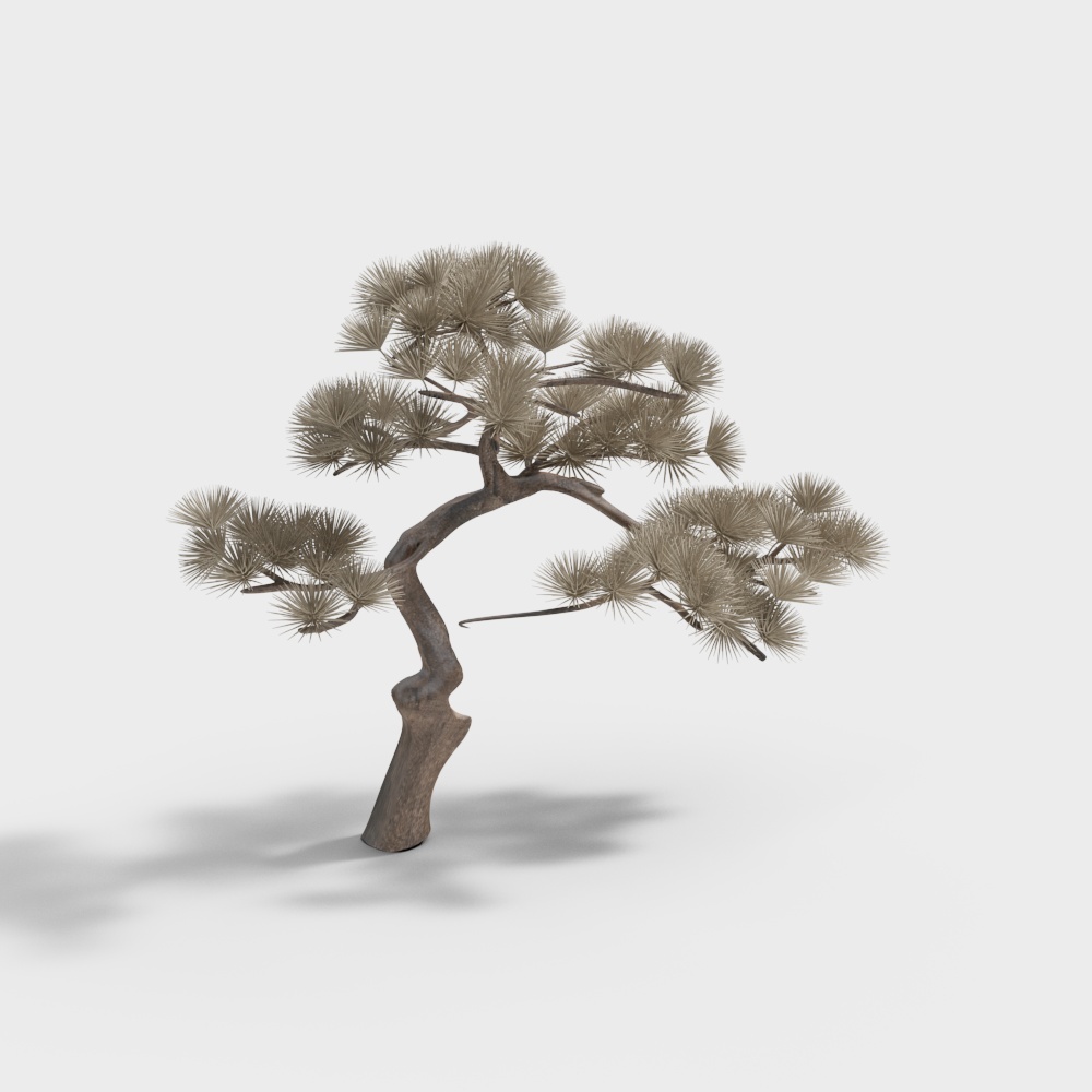 现代松树_-cc3D模型