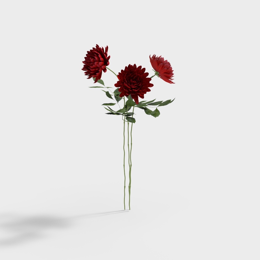 1010395_5花卉