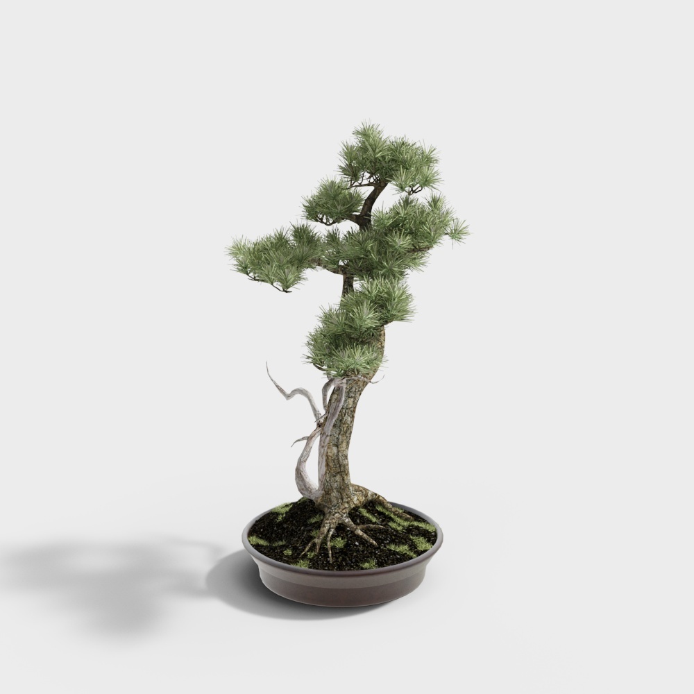 22植物 PD3D模型