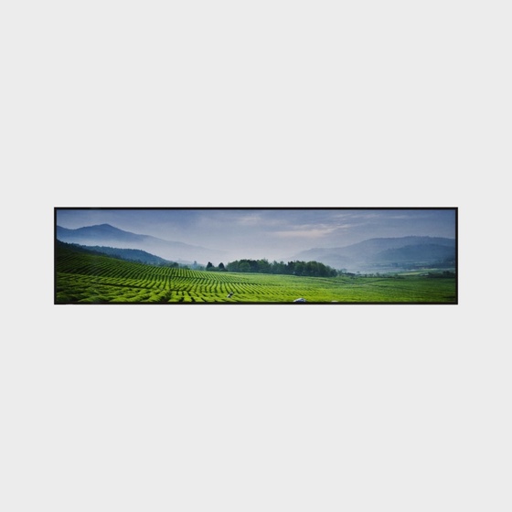 Blue and Purple LED Display 3D Model for Media Spaces