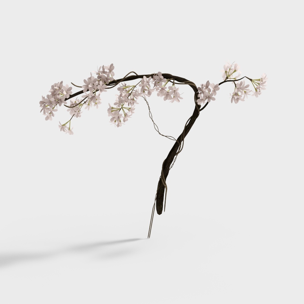 27桃花树 PD