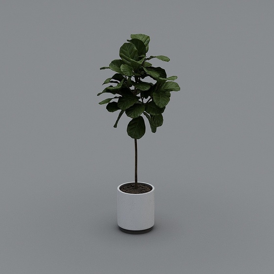Stylish Potted Plants 3D Model in Green