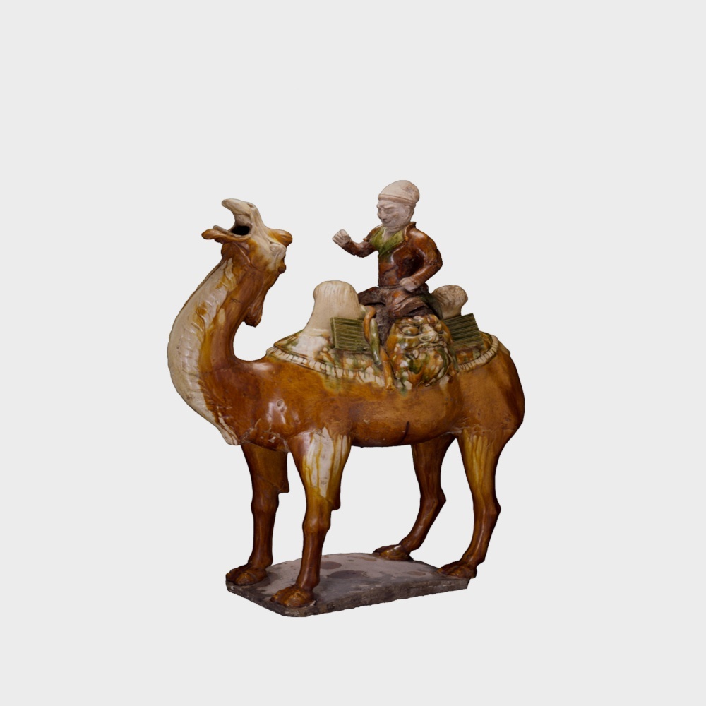 骆驼与骑者 Camel and Rider