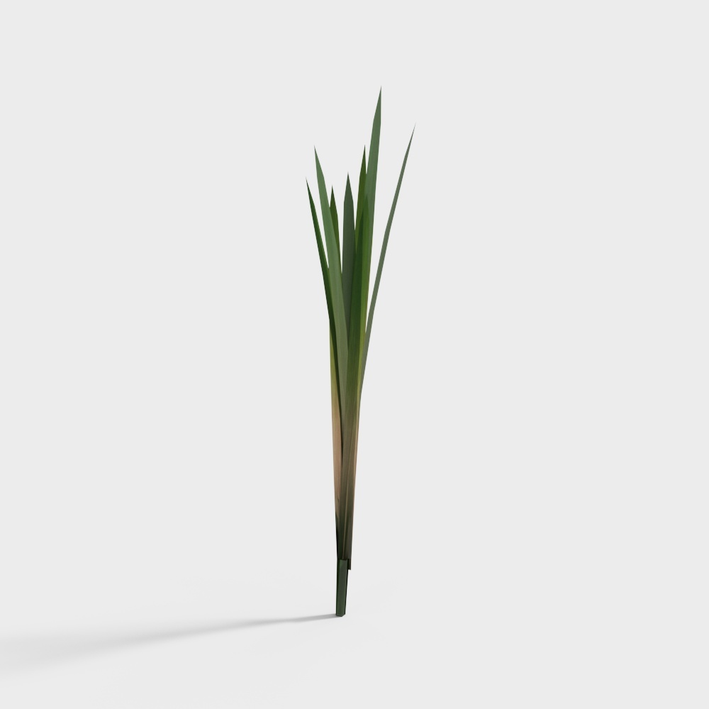 水草2-BS3D模型