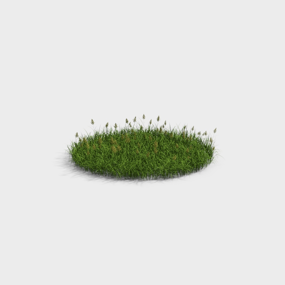现代草地草坪-小花草坪