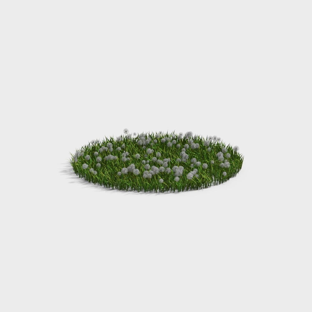 现代草地草坪-白花草坪