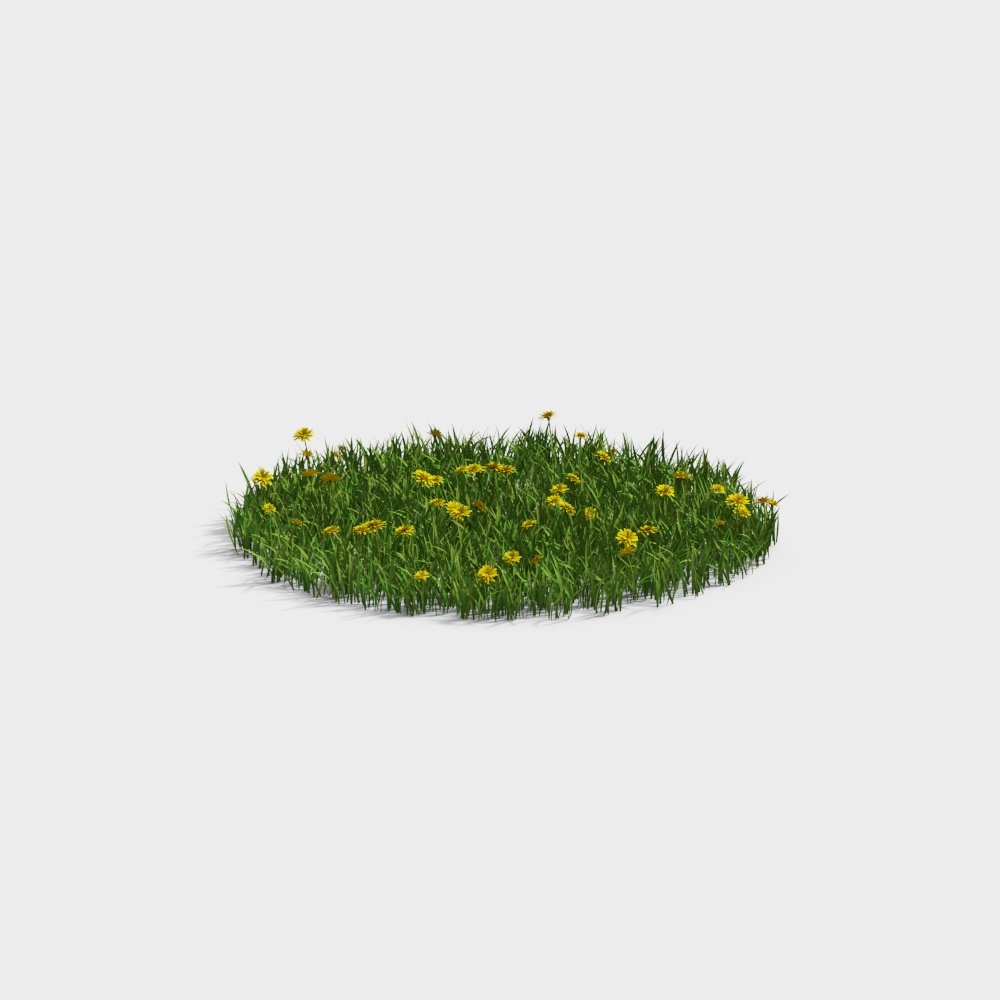 现代草地草坪-小黄花草坪