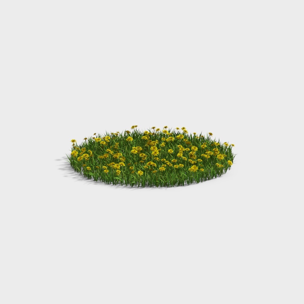 现代草地草坪-黄花草坪