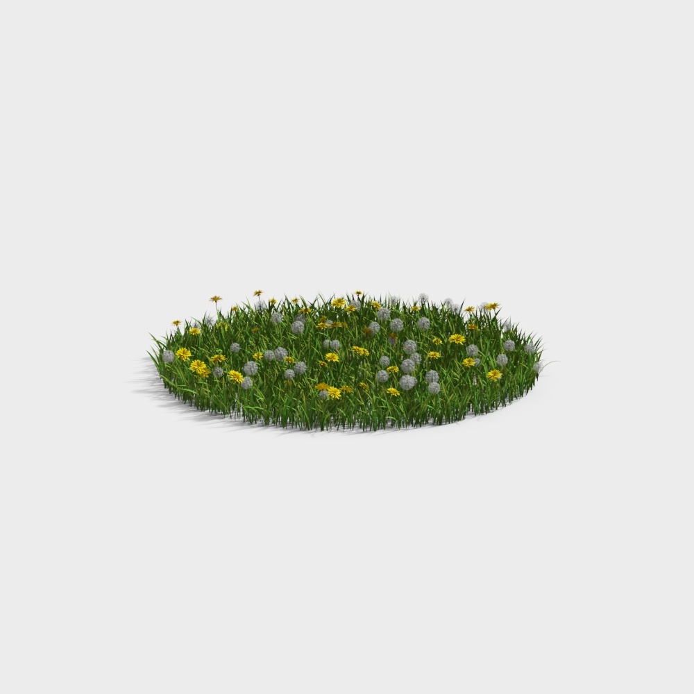 现代草地草坪-白花黄花草坪3D模型