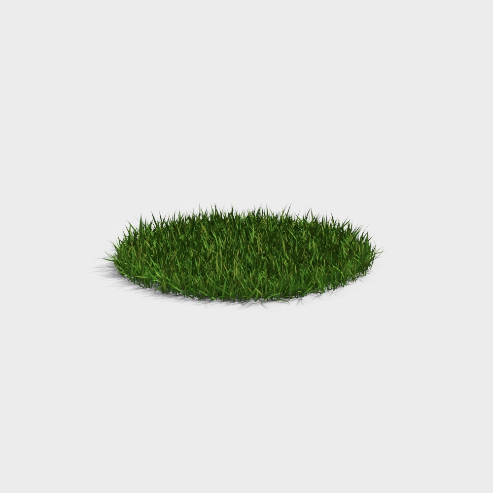 现代草地草坪-现代草地3D模型