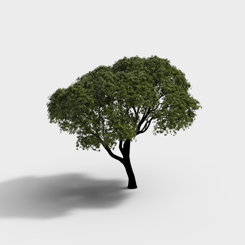 现代绿植景观树3D模型