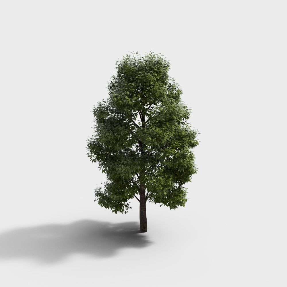 现代绿植景观树