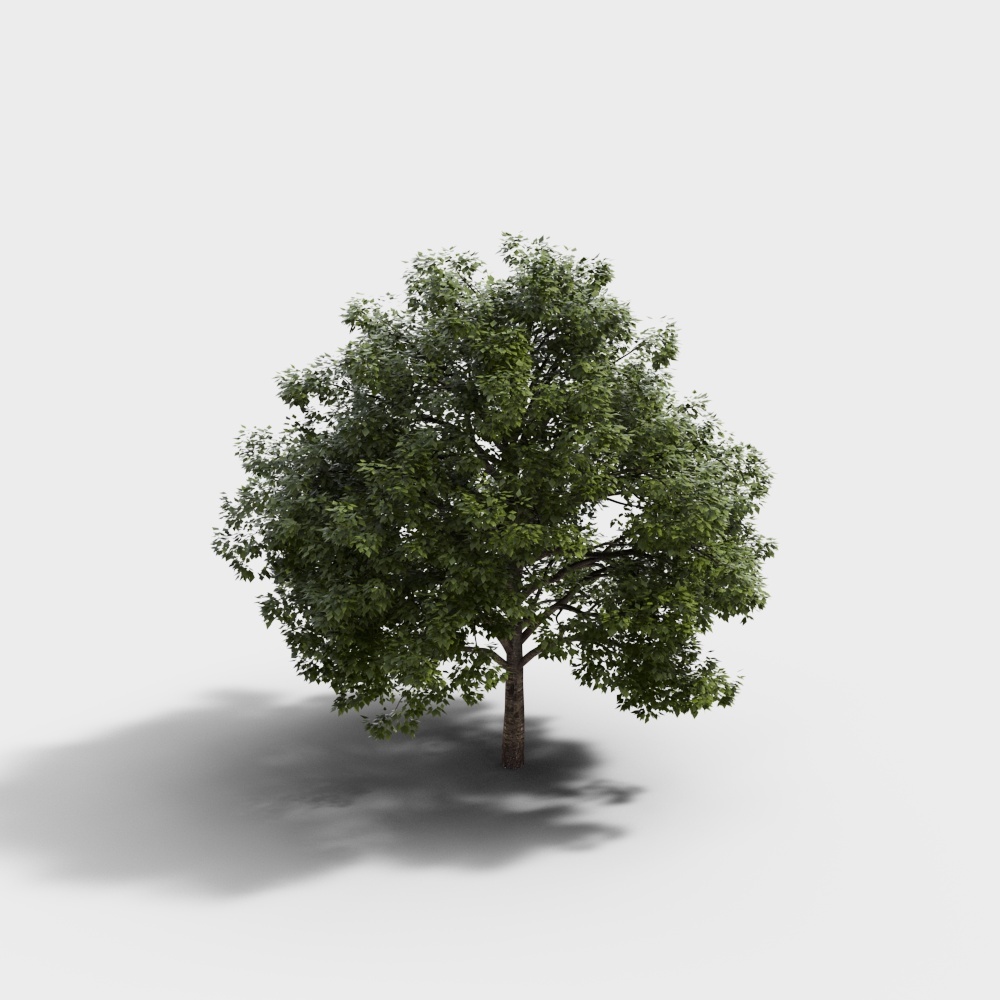 现代绿植景观树3d模型